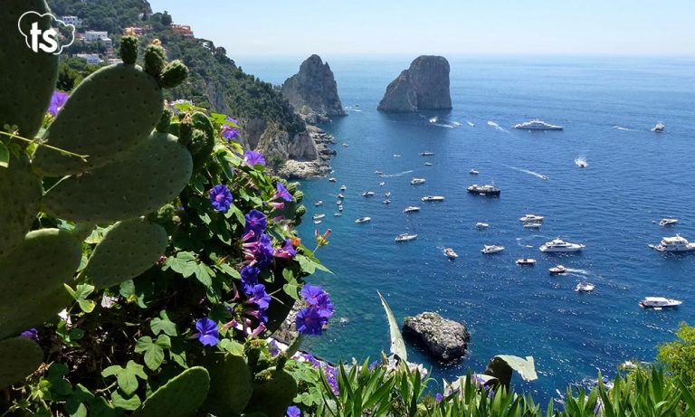 capri estate inpsieme senior 2021