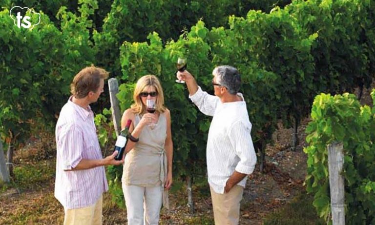 estate inpsieme senior 2021 campania