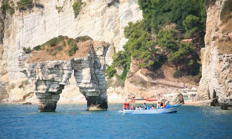 Vieste estate inpsieme senior 2021