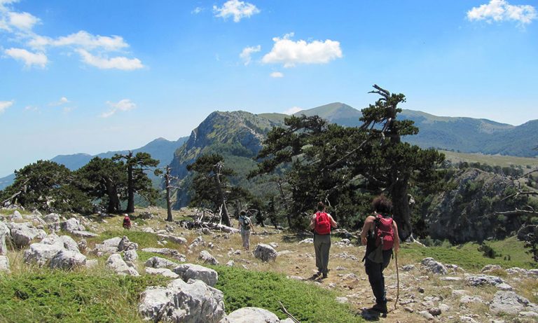 FRIDO E PARCO NAZIONALE DEL POLLINO